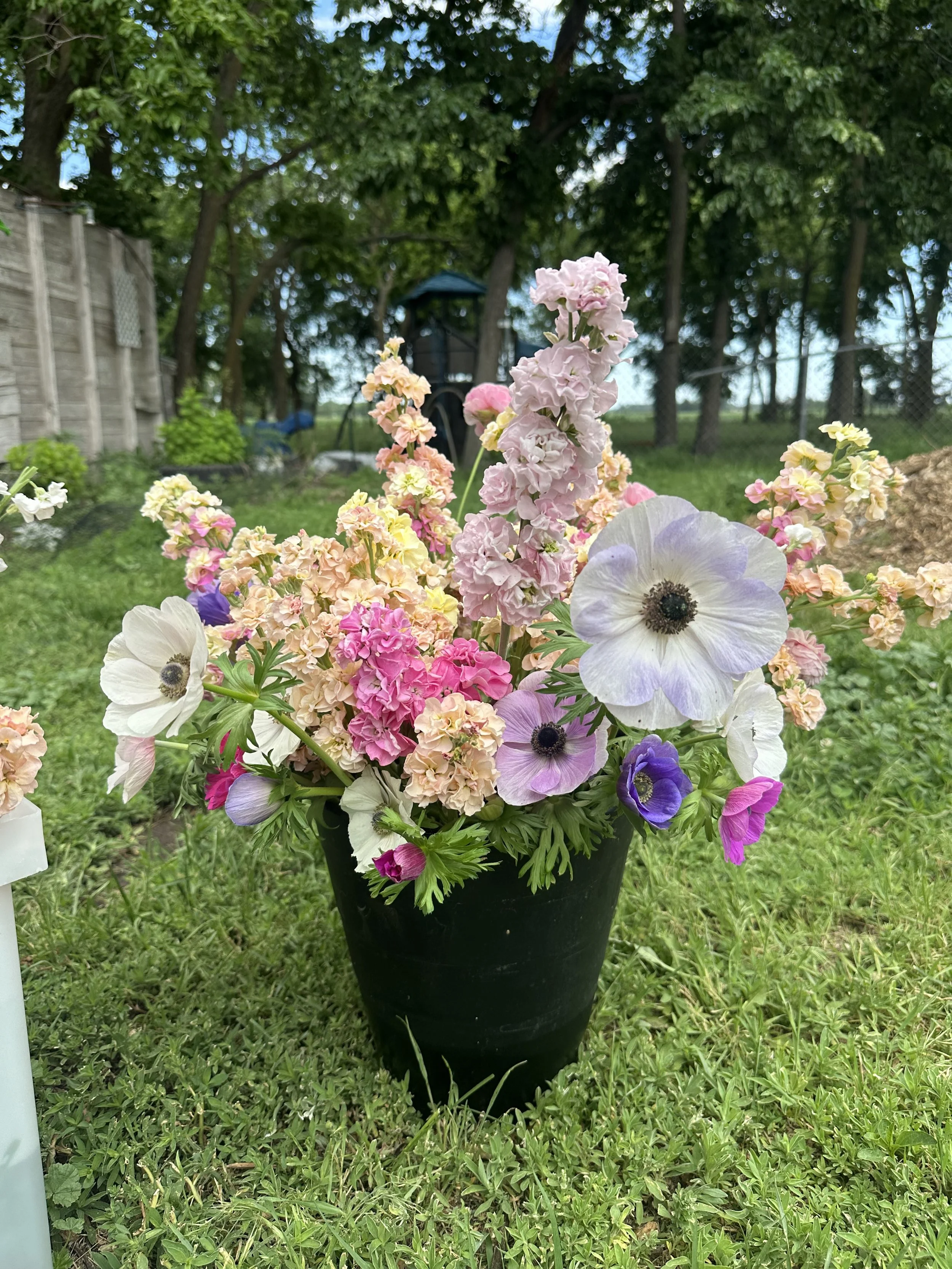 4 Week Spring 2026 Subscription