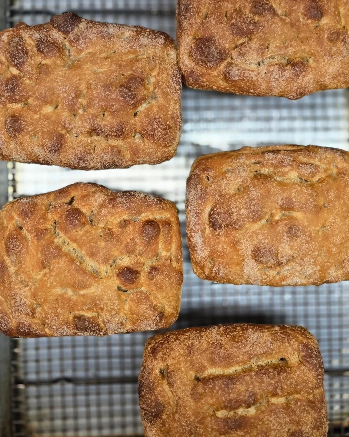 Did you know we have had a sour dough starter going for almost 4 years now?! it's been passed down from a chef friend of ours and a vital part of our team here

Our soursough focaccia is one of our favorite on the menu!