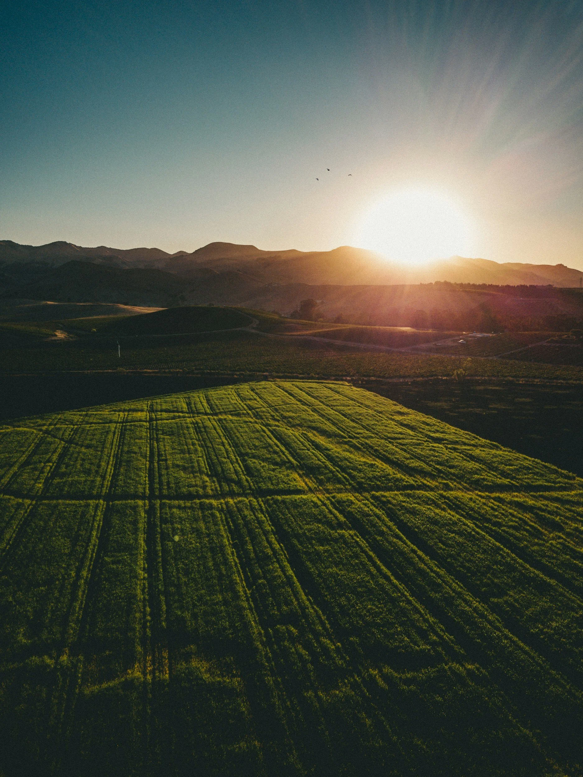 Aerial view of a green farmland with rows of crops, surrounding hills and mountains in the distance, sunlight shining over the landscape at sunset or sunrise. Drone Detection Ireland