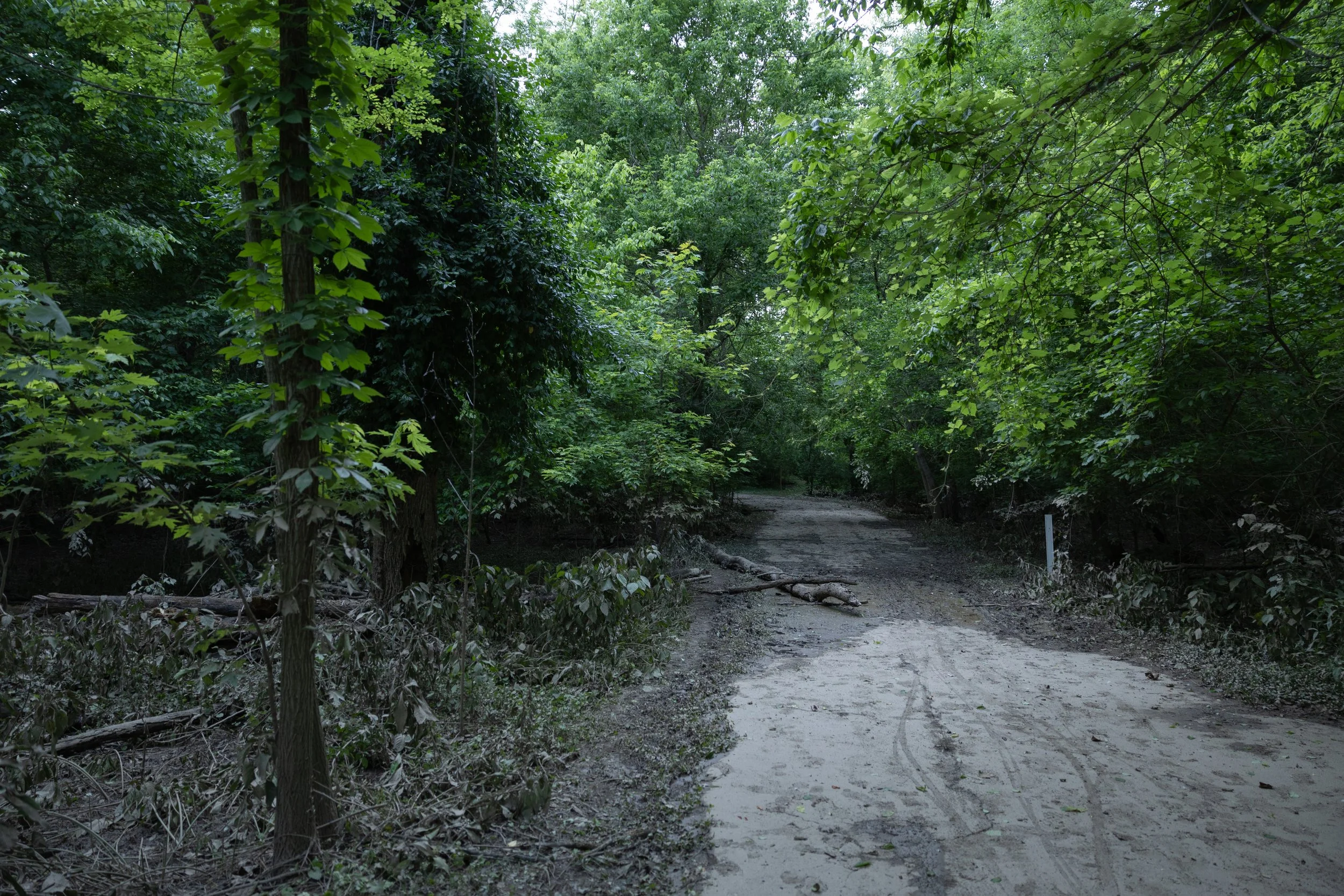 huffman-37.jpg