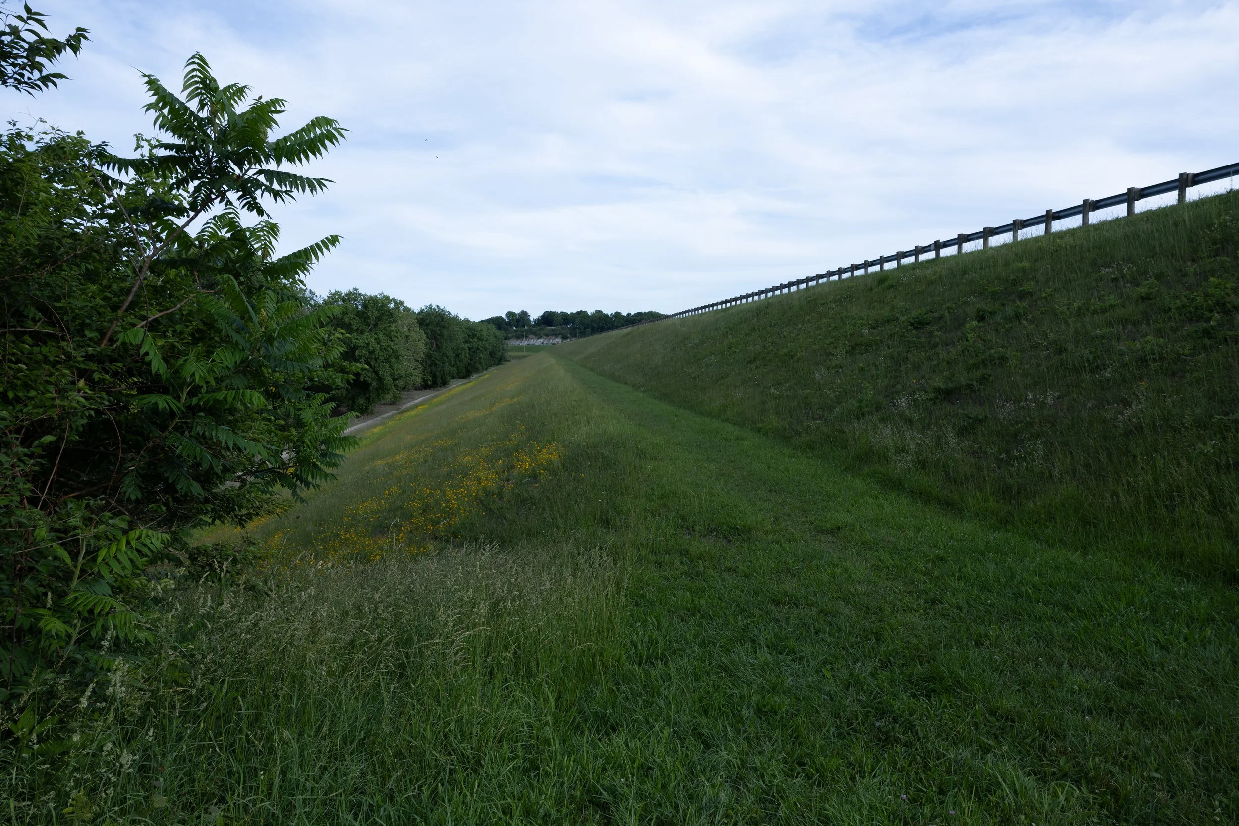 huffman-1.jpg