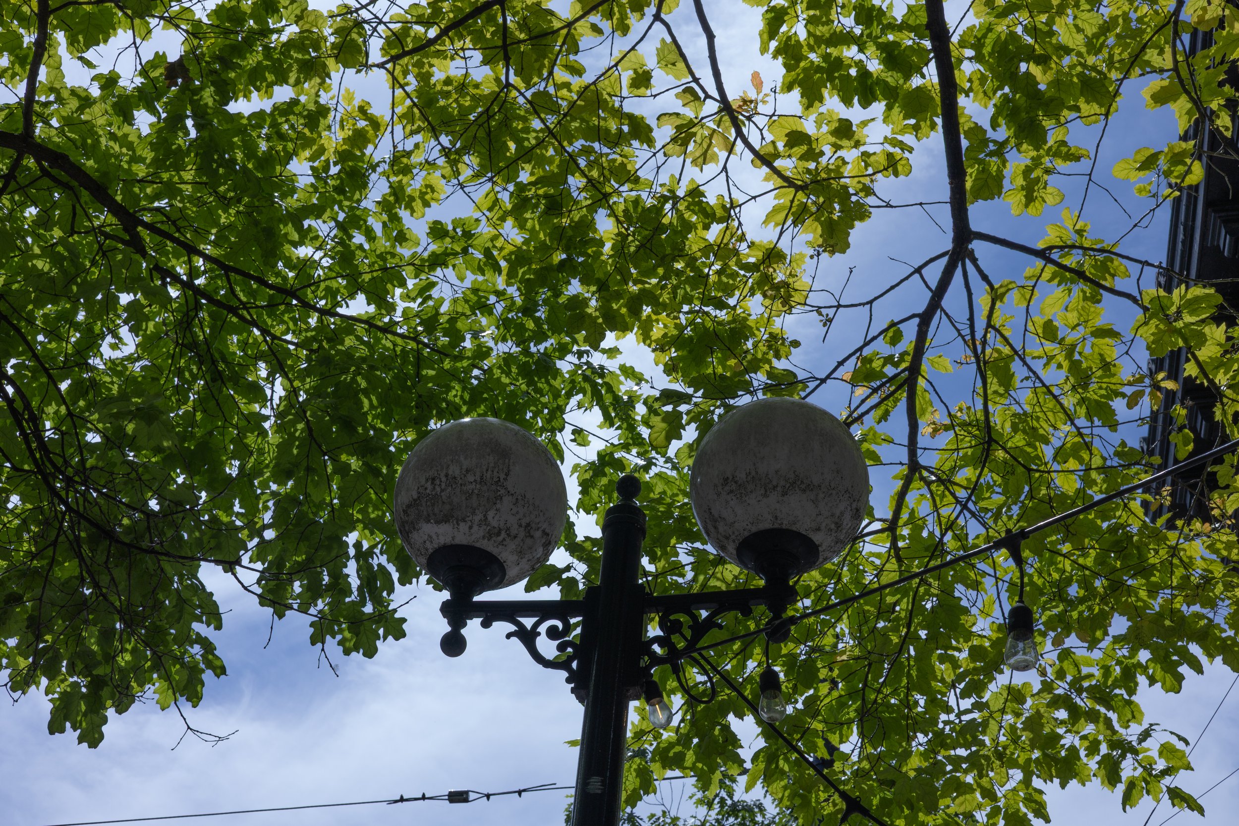 oregon district-7.jpg