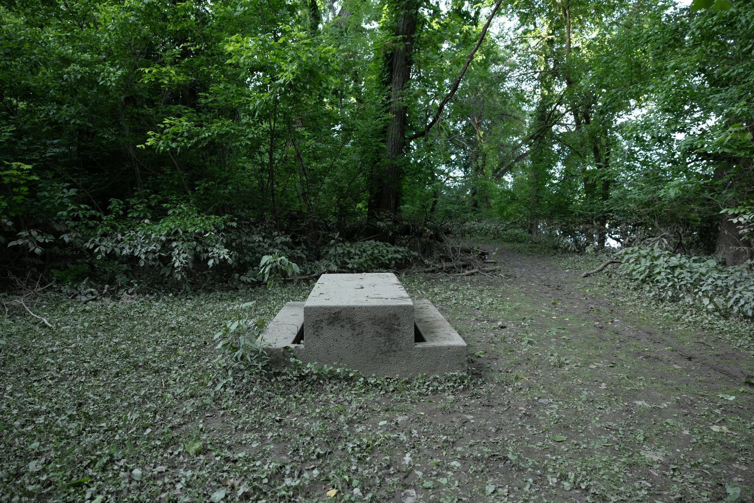huffman-33.jpg