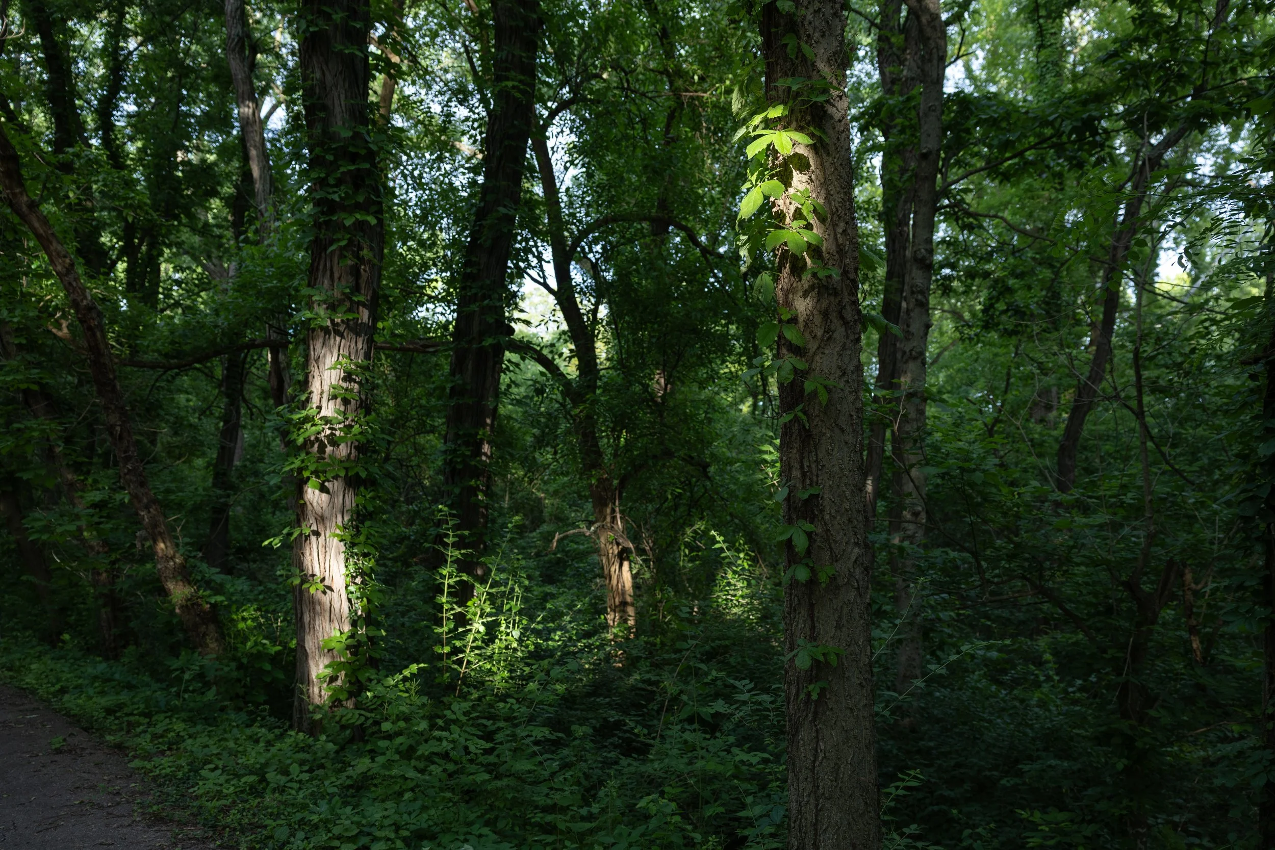 huffman park