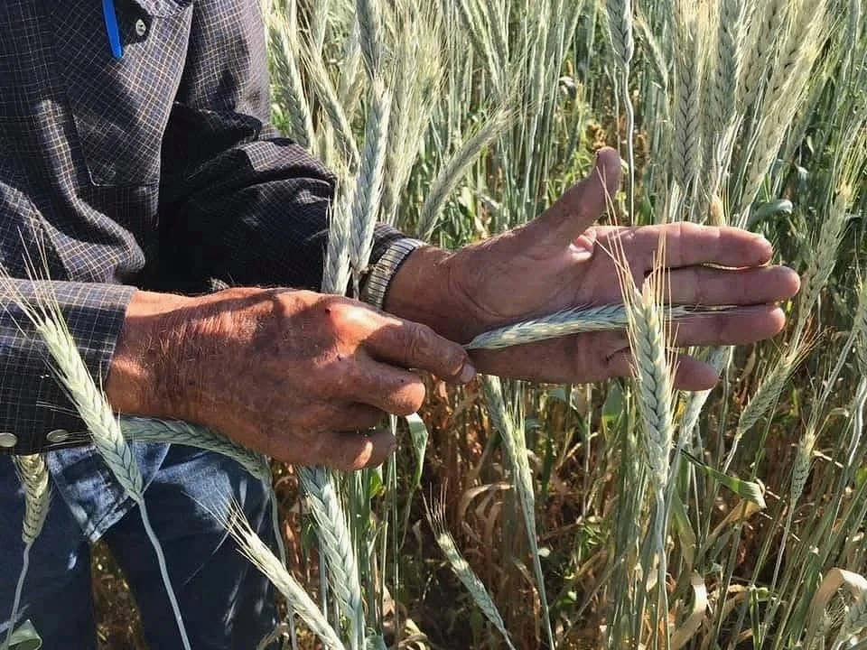 If Everyone in America Had Life Insurance, We Could End Generational Poverty in One Generation!