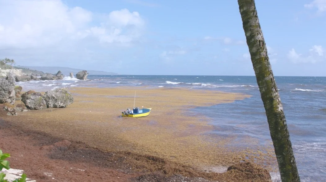 MTM Screenshot 4.jpeg