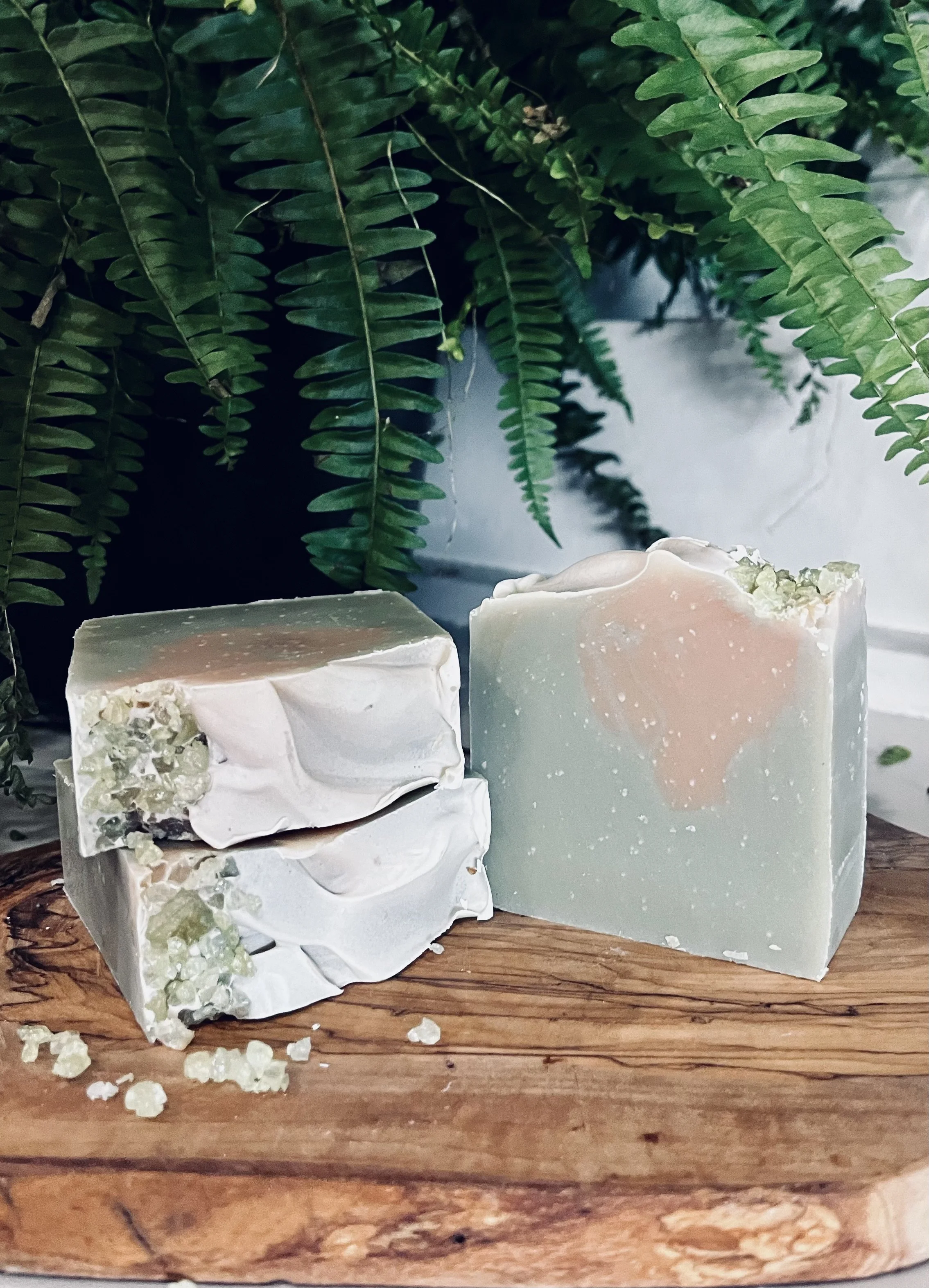 Pic Bar soap Coconut Lime.jpeg