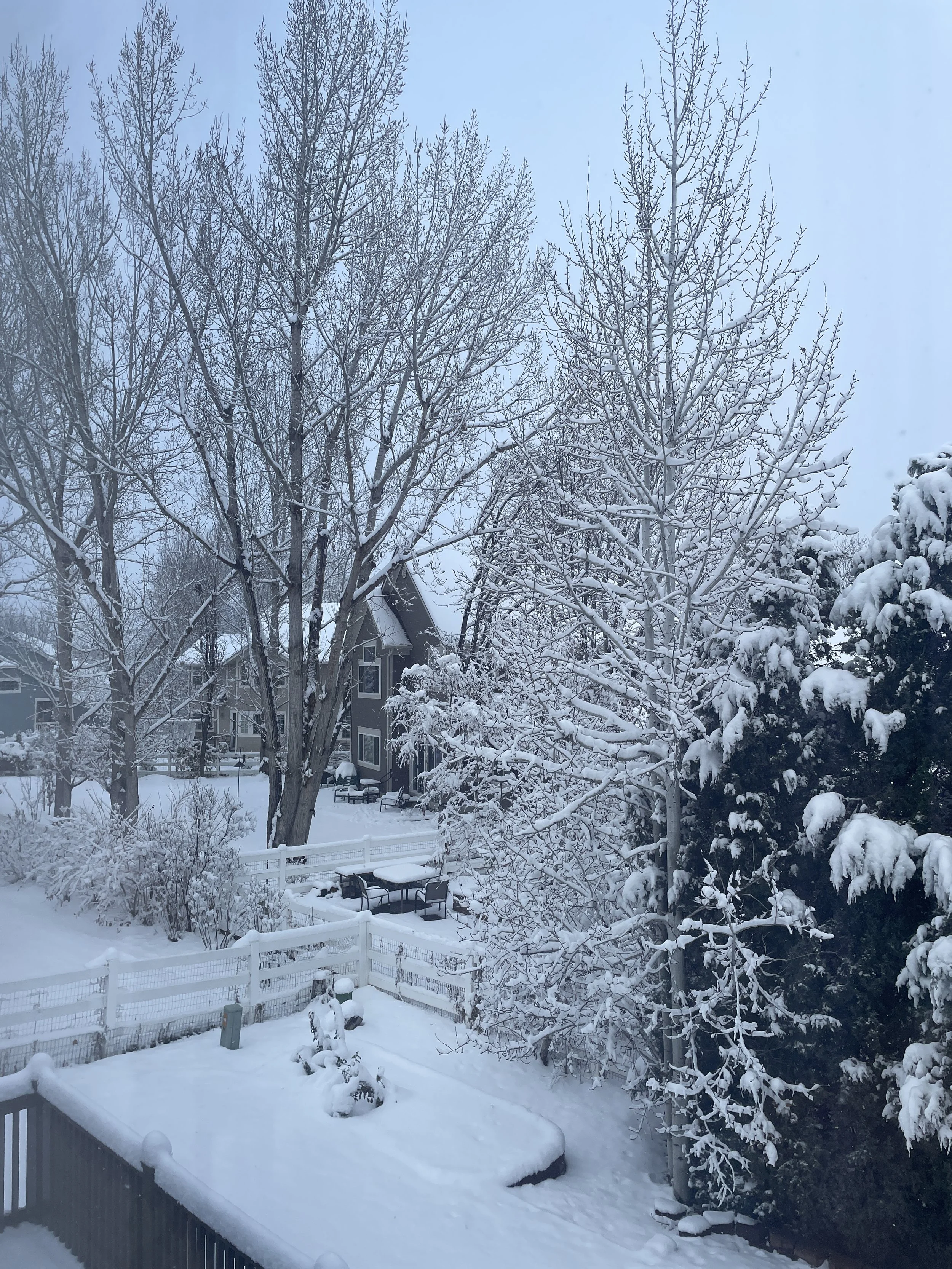 If You Have Time to Scroll, You Have Time to Pause