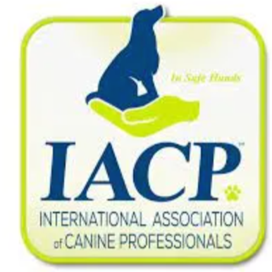 Logo of the International Association of Canine Professionals featuring a silhouette of a dog and the organization's name.