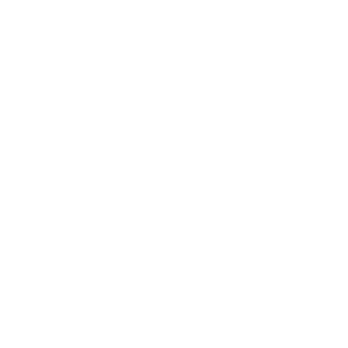 Silhouette of a paw print with five toes on a black background.