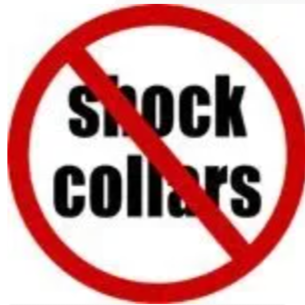 A prohibition sign with a red circle and slash over the words 'Shock Collars'