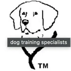 Line drawing of a dog with a smiling face and floppy ears, with the text 'dog training specialists' underneath.