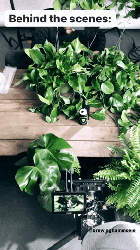 Untitled design (1).gif