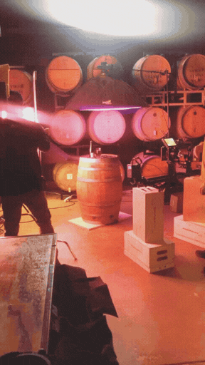 Untitled design (3).gif