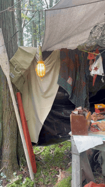 Untitled design (3).gif