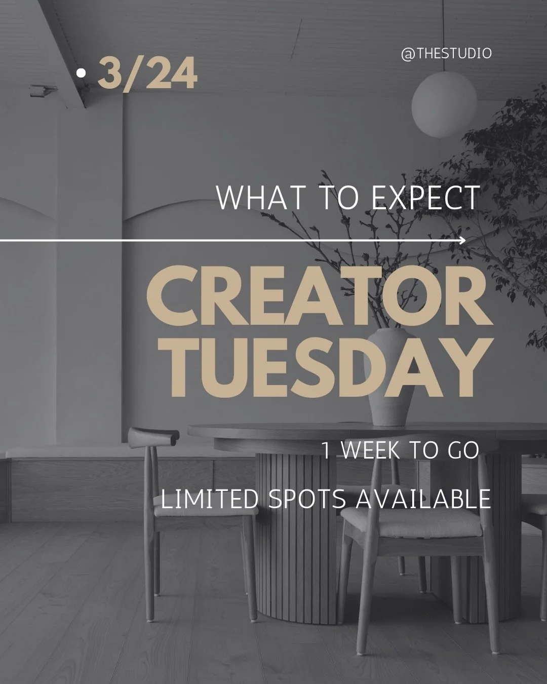 1 WEEK LEFT TO SIGN UP

5 hours to create, connect, and be around people who are actually doing the same.

Expect a relaxed, styled space with a small group of creatives, photographers, content creators, and individuals building their own thing. Time