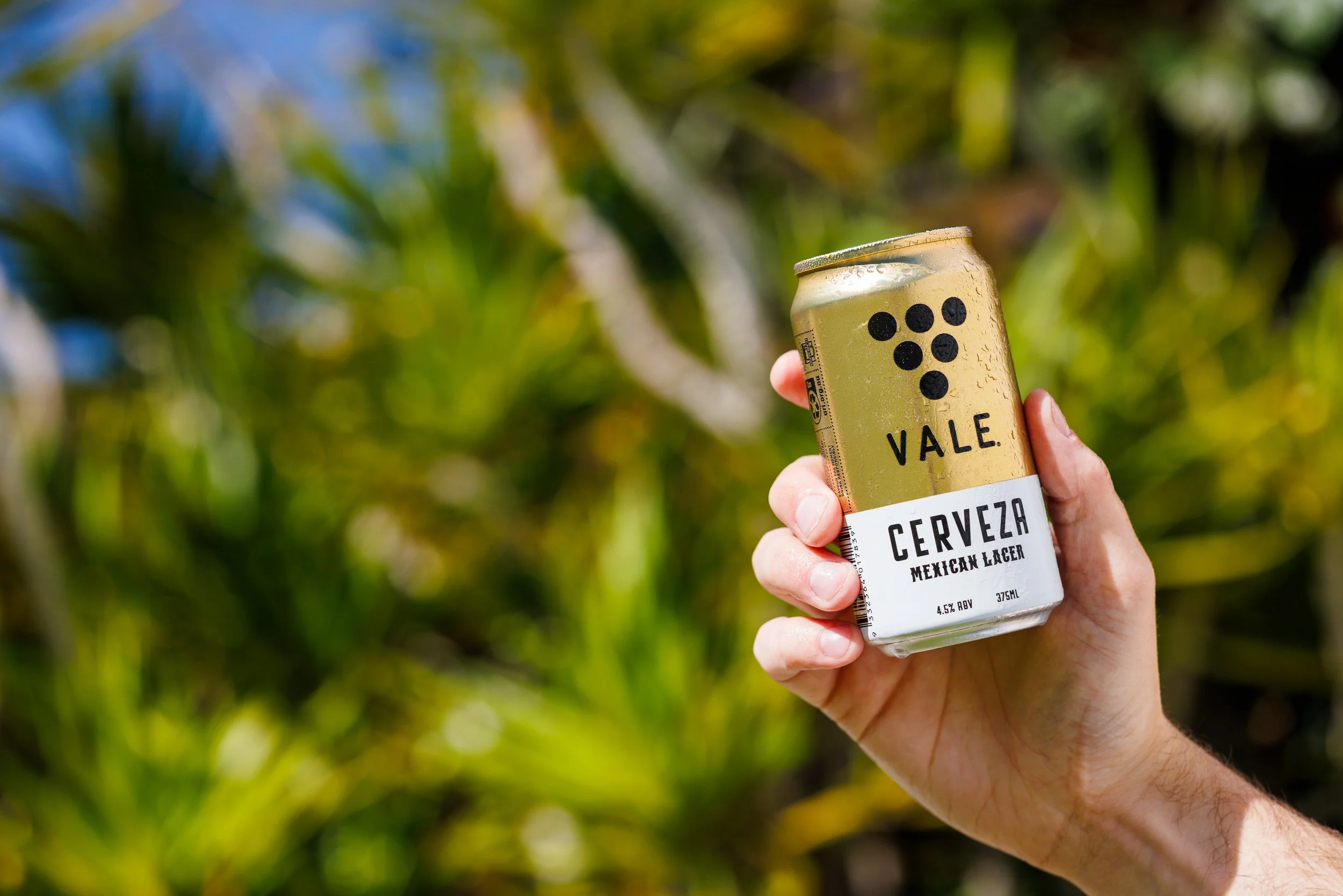 Packaging Design - Vale Cerveza Beer Can