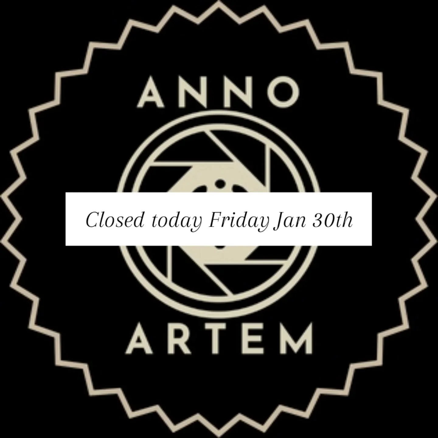 We stand in solidarity with our neighbors and community against ICE's authoritarian tactics today, and everyday. Anno Artem Gallery was founded in the principles of Third-wave Romanticism: using art to create empathy and human connection. Showcasing 