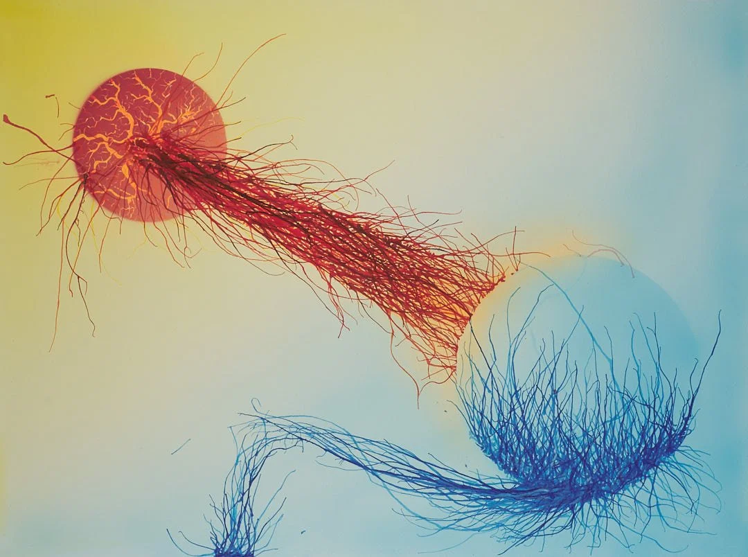 Joseph Harkanson - Entanglement #2 - web.jpg