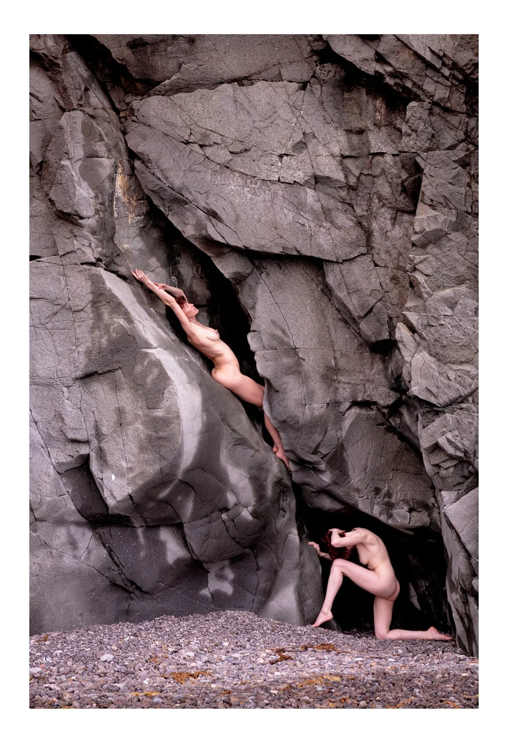 Harmony - Rebecca Carpenter