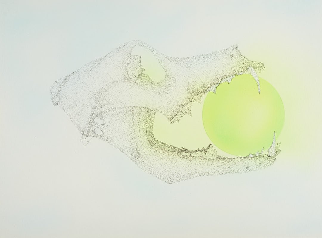 Fetch - Joseph Harkanson