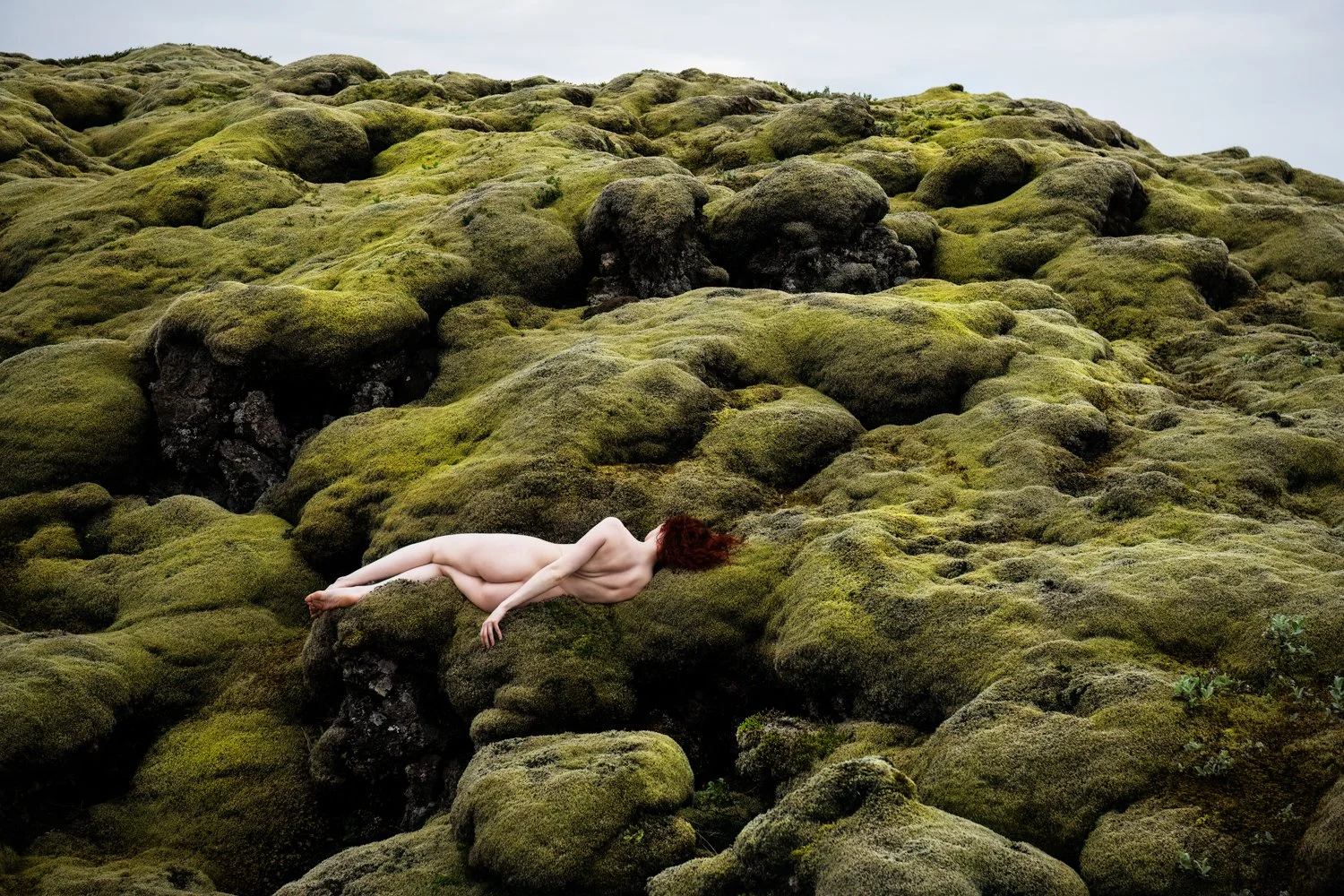 Tranquility - Rebecca Carpenter