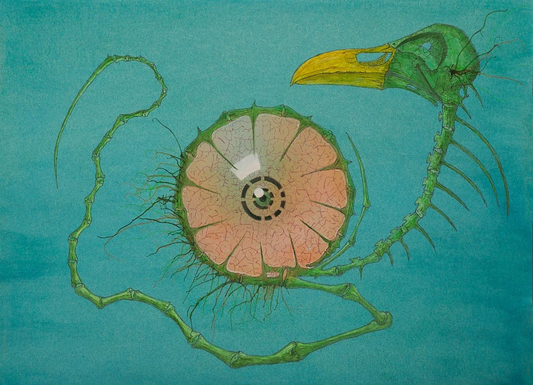 Joseph Harkanson - AyeEye - web.jpg