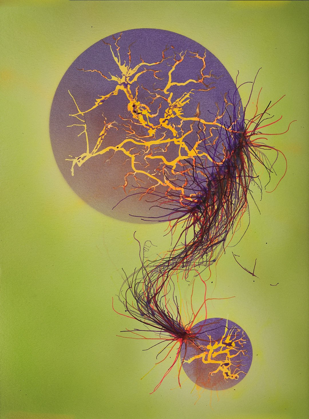 Joseph Harkanson - Entanglement - web.jpg