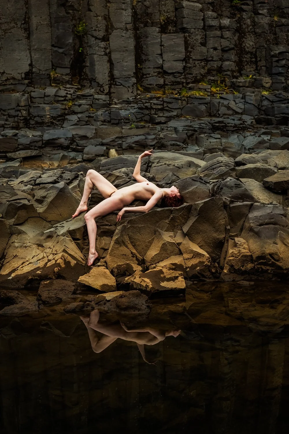 Reflected Symmetry - Rebecca Carpenter