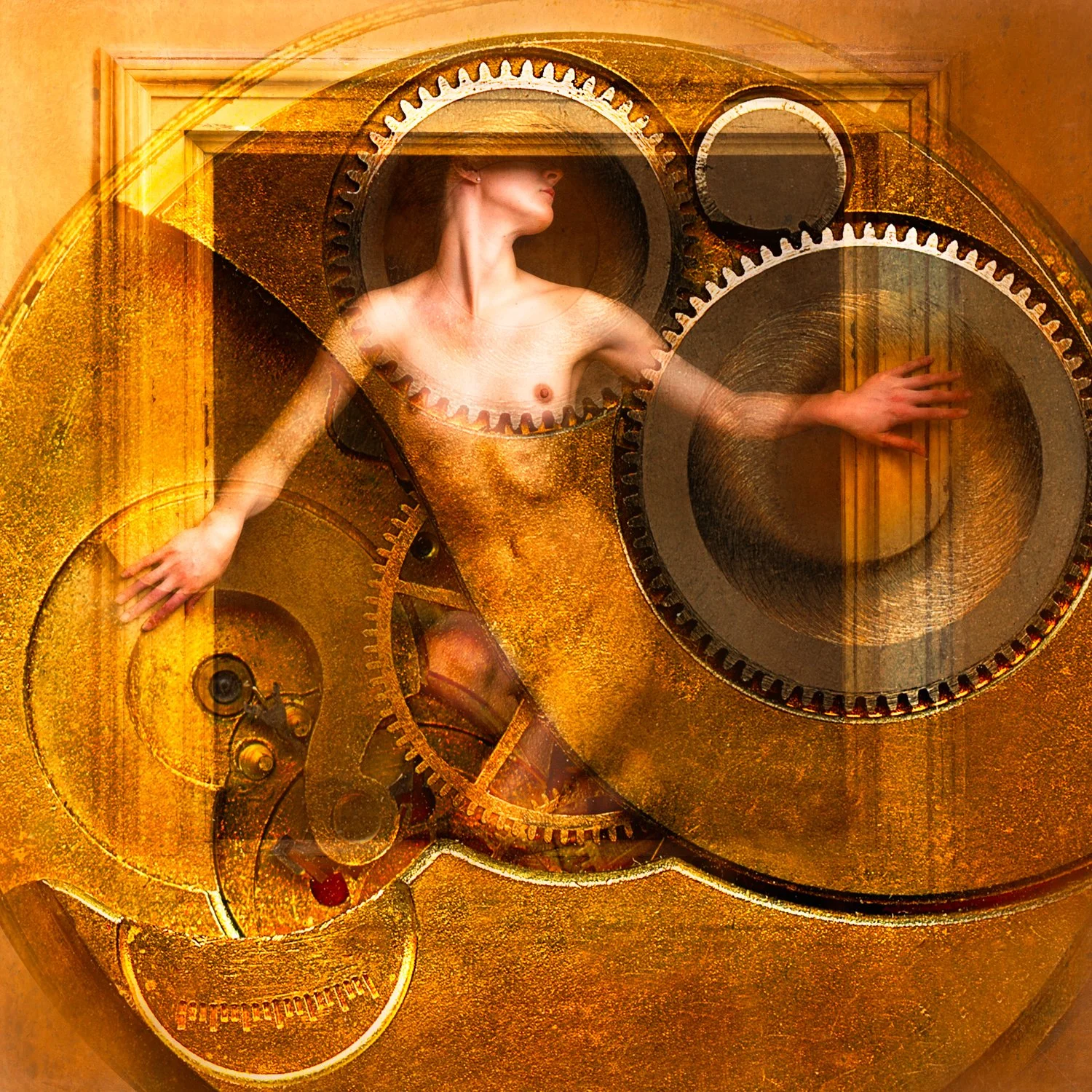 Timeless - Boxed In VII - Rebecca Carpenter