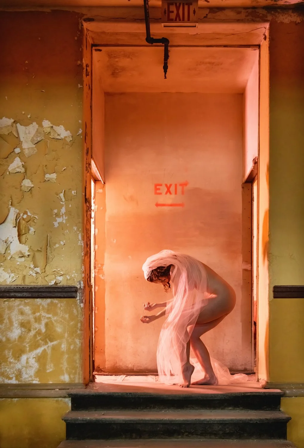 Exit Strategy - Veiled- Rebecca Carpenter