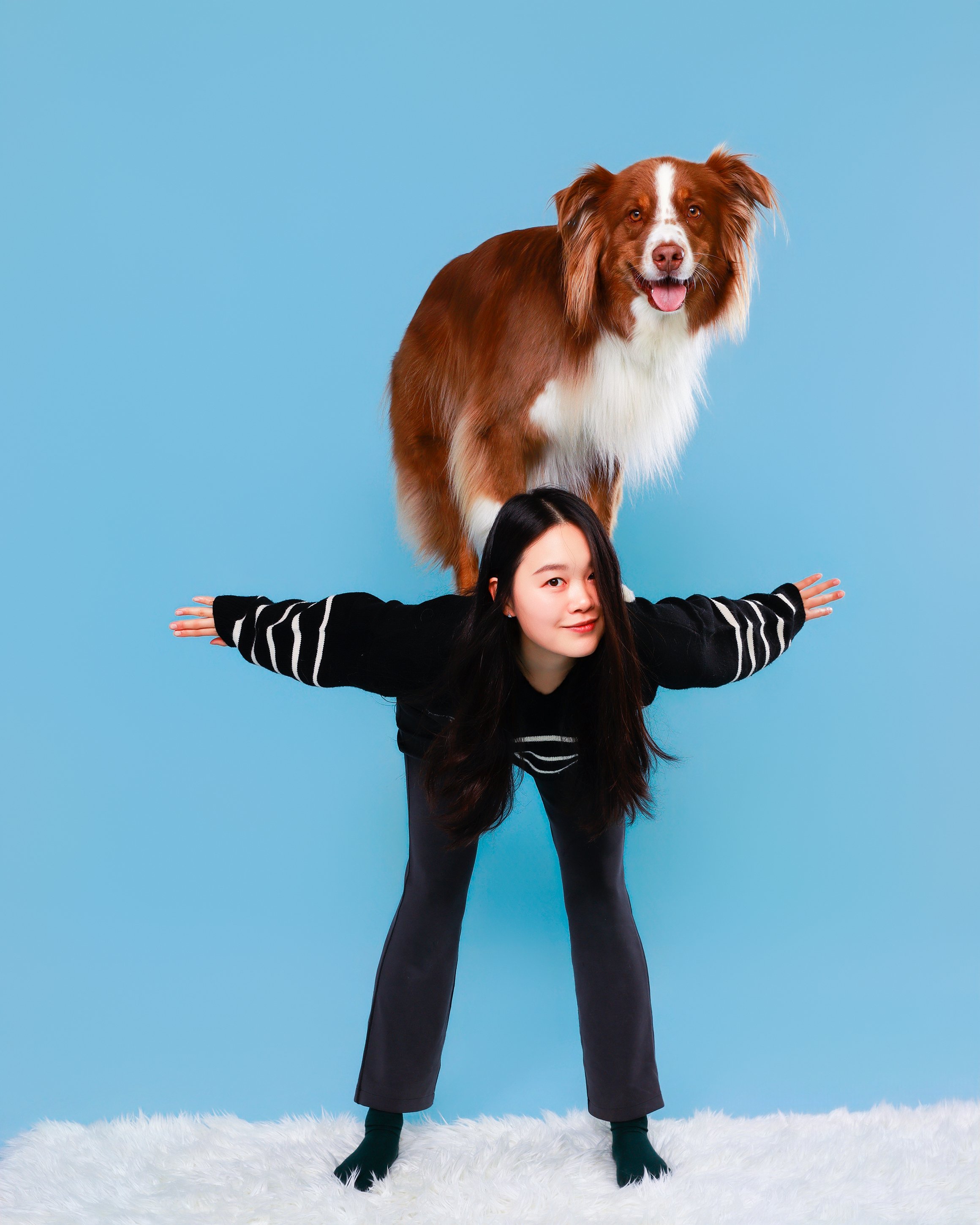 Woman & border collie in studio