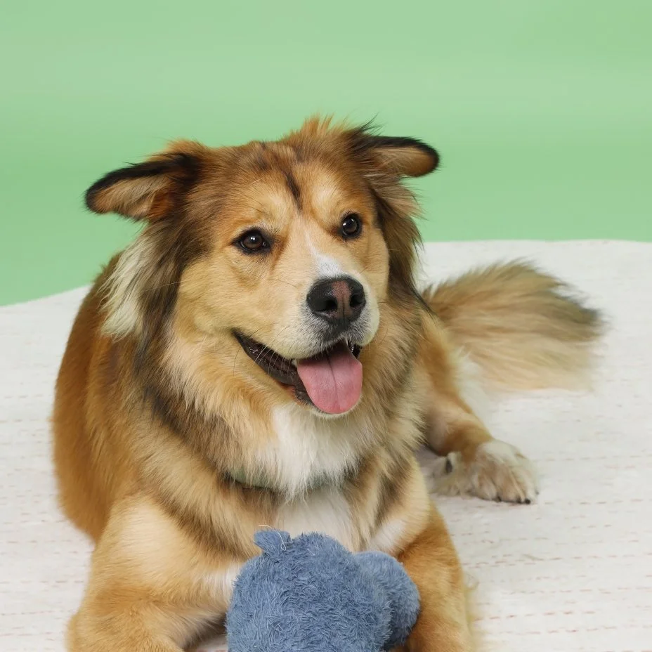 P Sandy Schewie20250720  (1).jpg