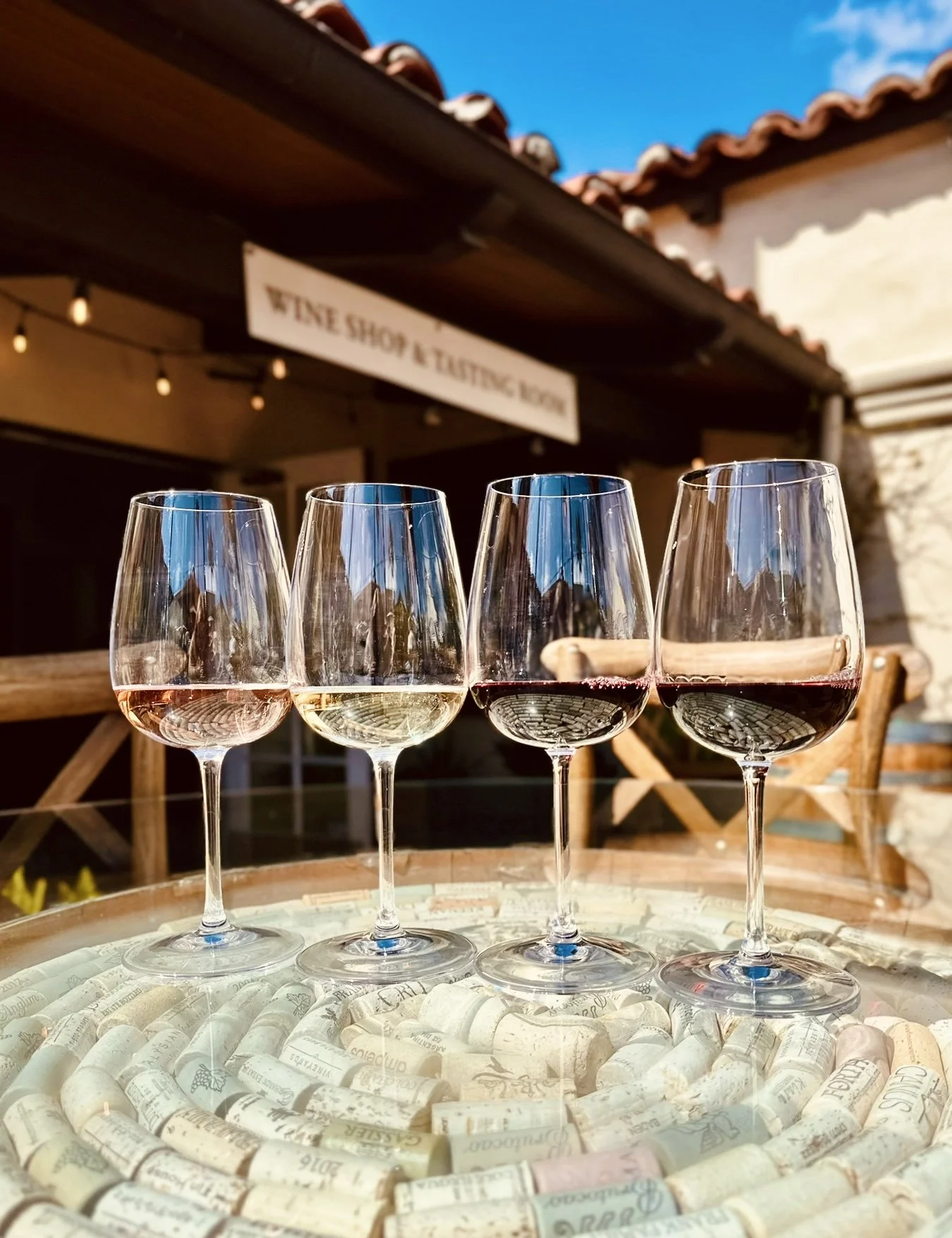 Wine Tasting