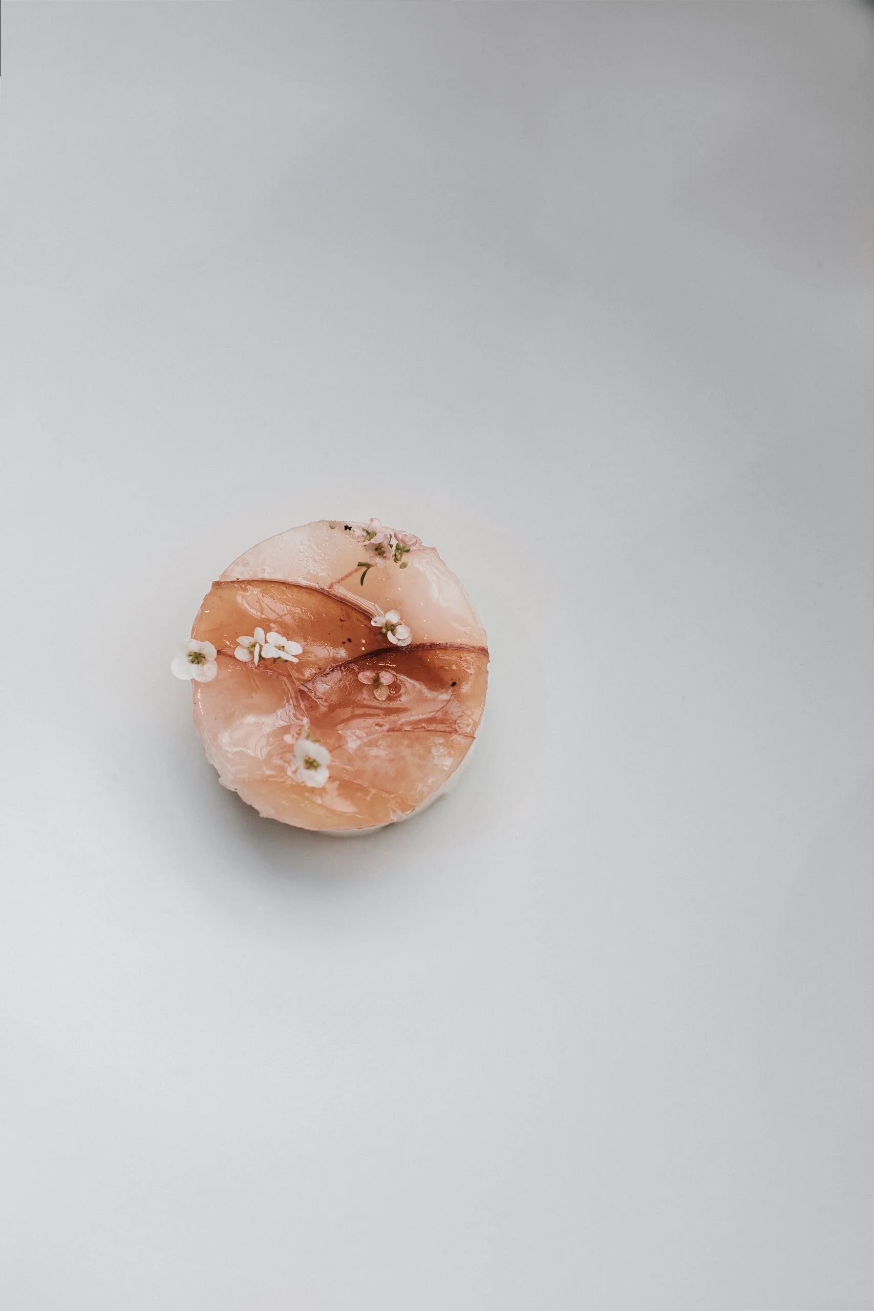 Peach 
'22 Summer Final Dessert

Brown Butter Spruce Shortbread
Peach Jam
Fresh Mochi Marshmallow
CO2 Peach Foam
Tasmanian Pepperberry Gel
Makegeolli Spruce Sorbet
Peach Veil with Slice Fresh + Compressed Peaches