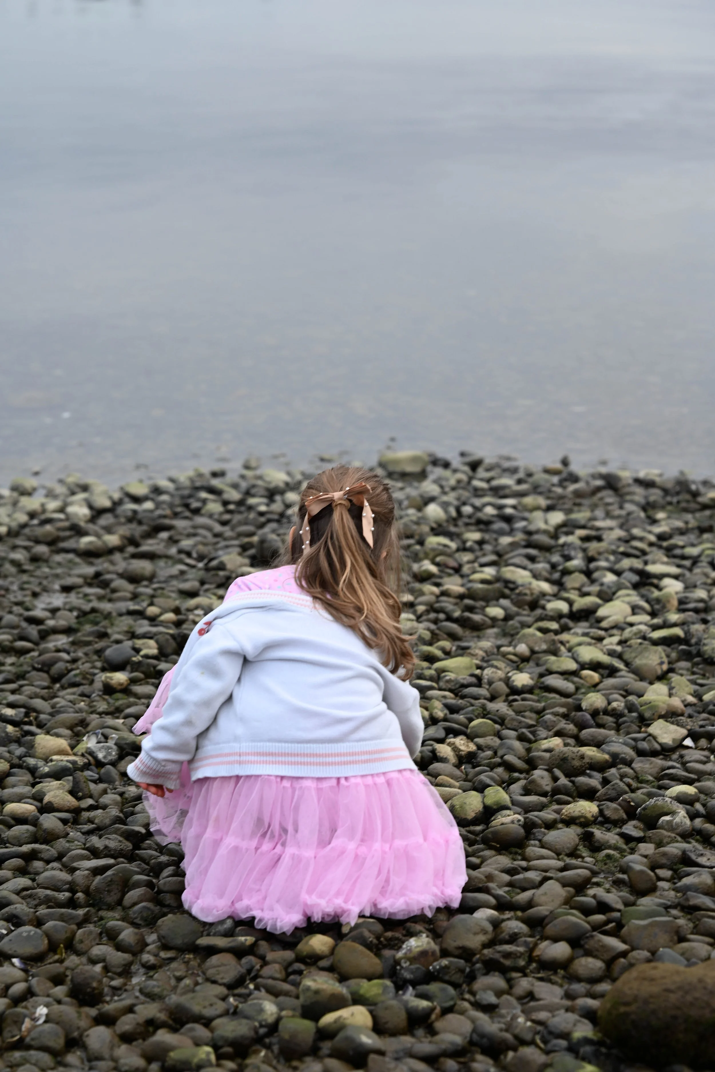 DSC_0862.jpg