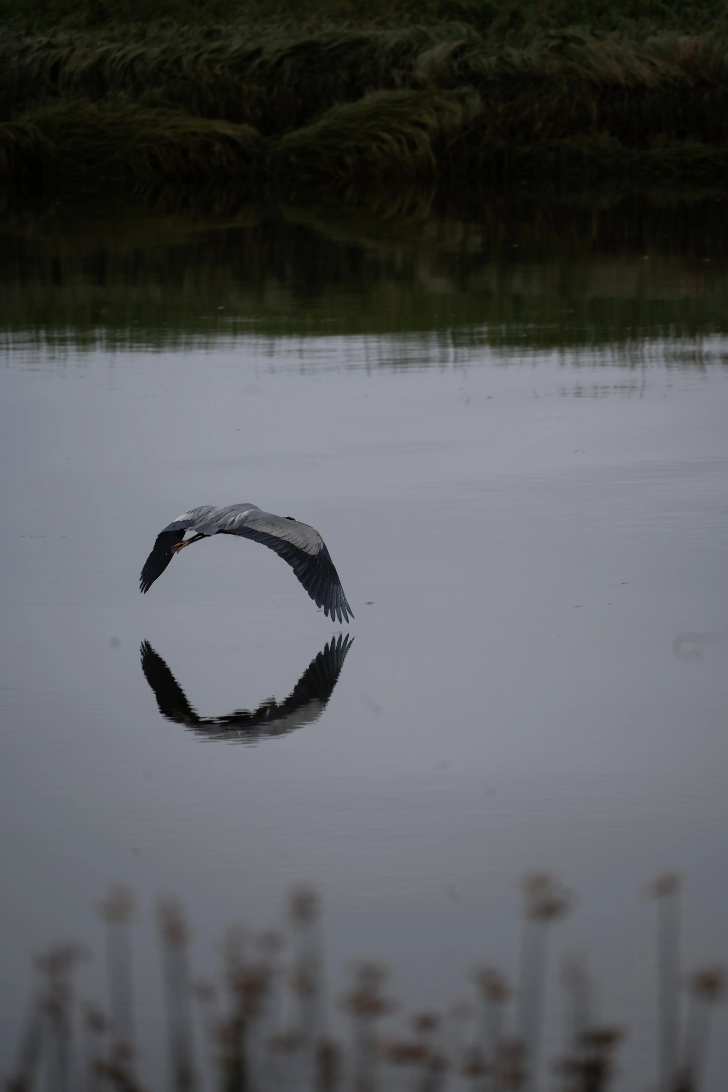 0644C54C-D1A5-4FBF-92FA-F5F73BBD11A8.jpeg