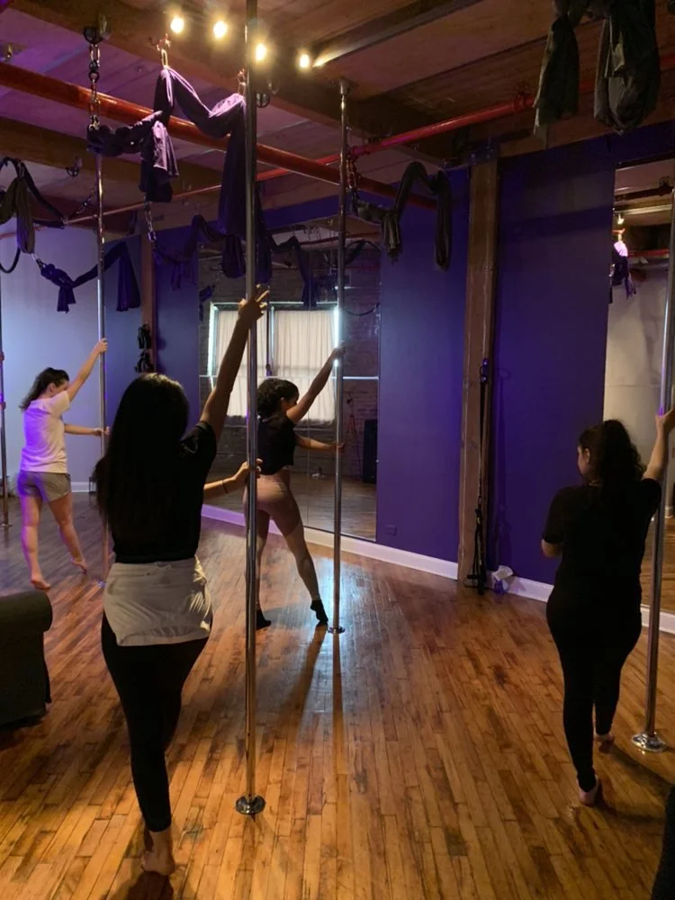 beginner foundations