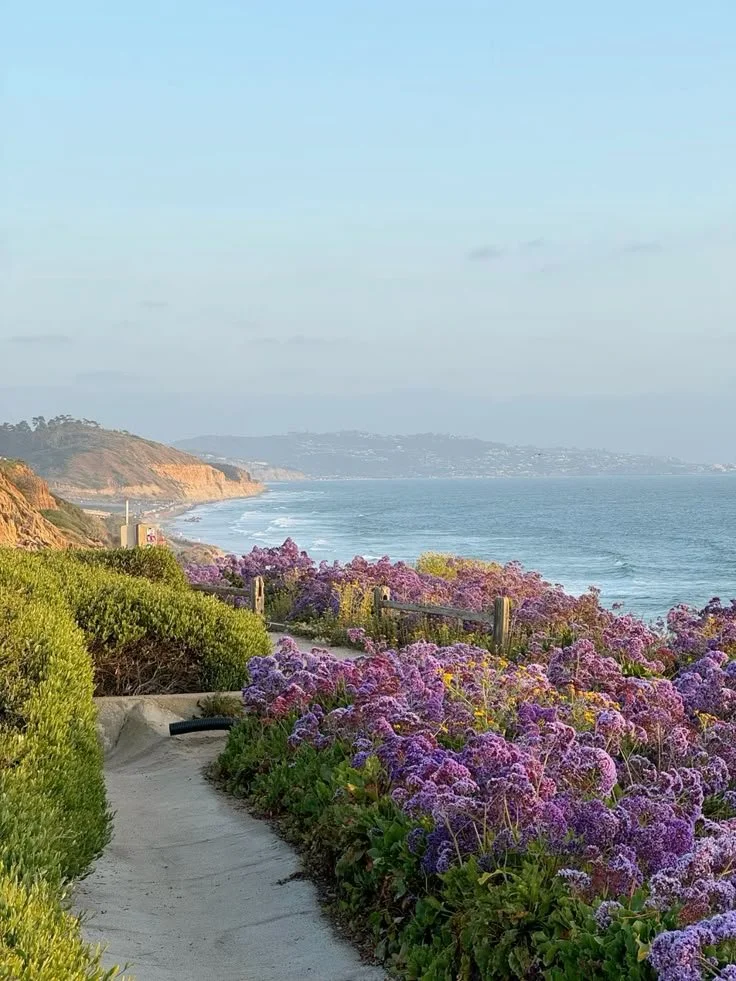 I've Lived in San Diego for 5+ Years. Here's What I Actually Do Here (and What the Tourist Guides Get Wrong)