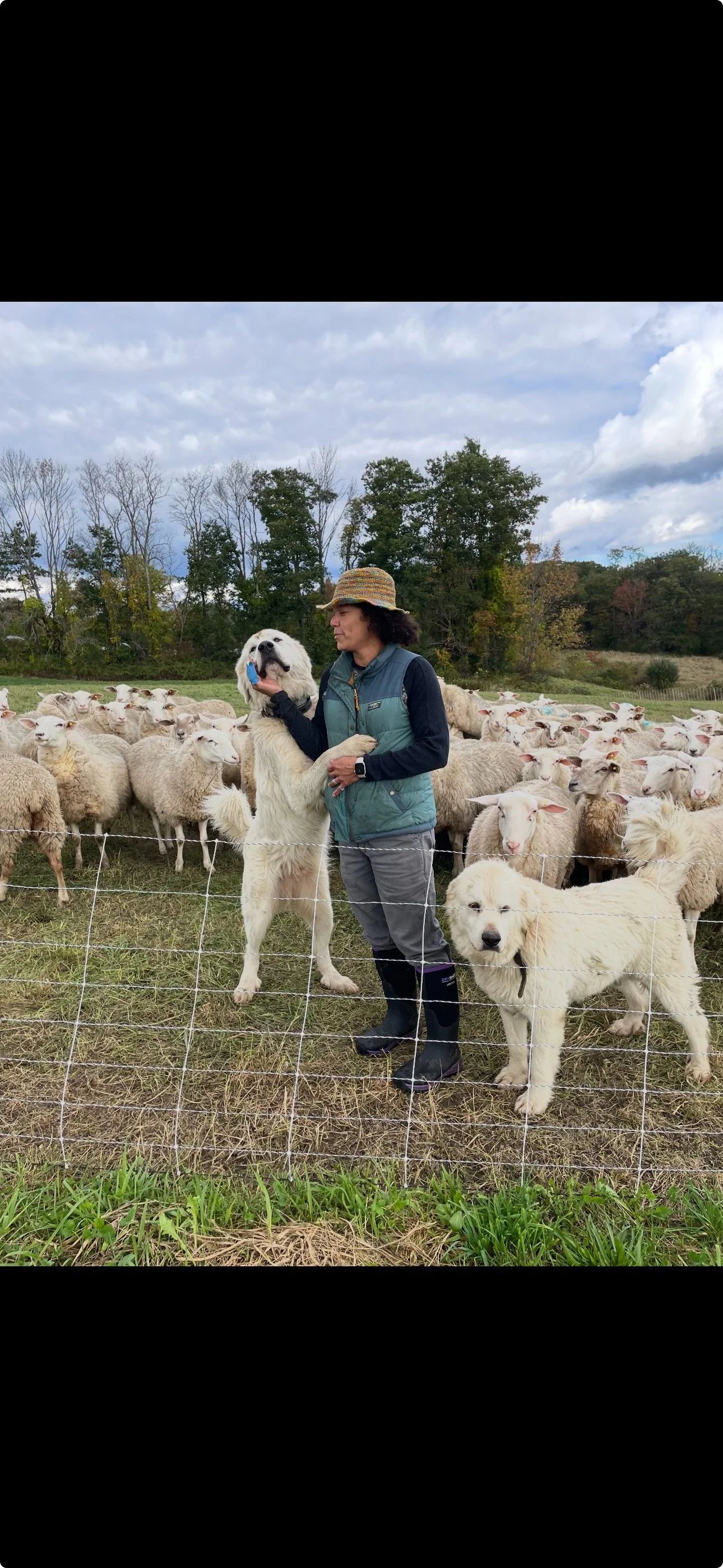 Screenshot 2025-11-04 at 11.14.53 AM.jpeg