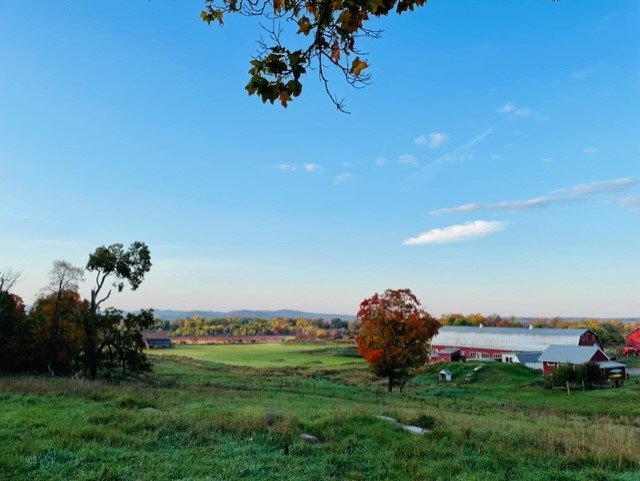 farm early fall.jpg