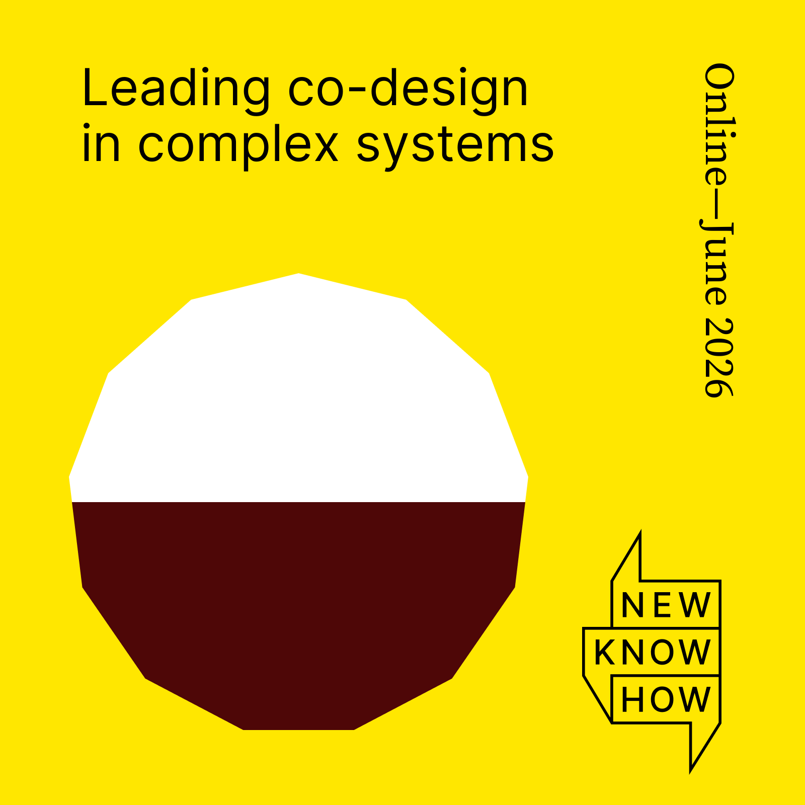 Leading Co-Design in Complex Systems
