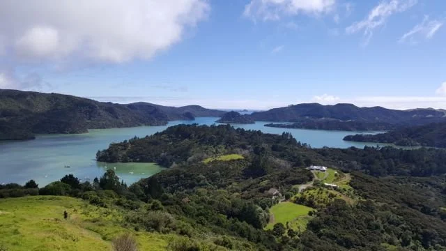 Green hills and a turquoise harbour