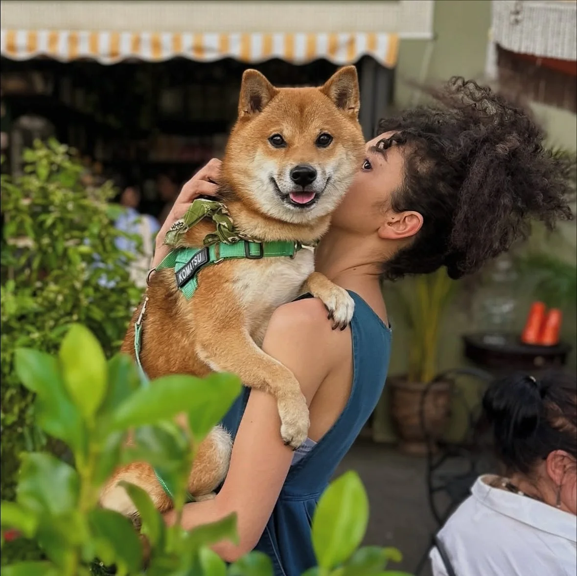 Calling all plant lovers, @shop.stanleygreen is calling your name 🌿✨ Stop in for a coffee, linger over pastries, and leave with way more plants than you intended 🐾☕ Your pooch will love it too! 

#dogfriendlysydney #plants #sydney