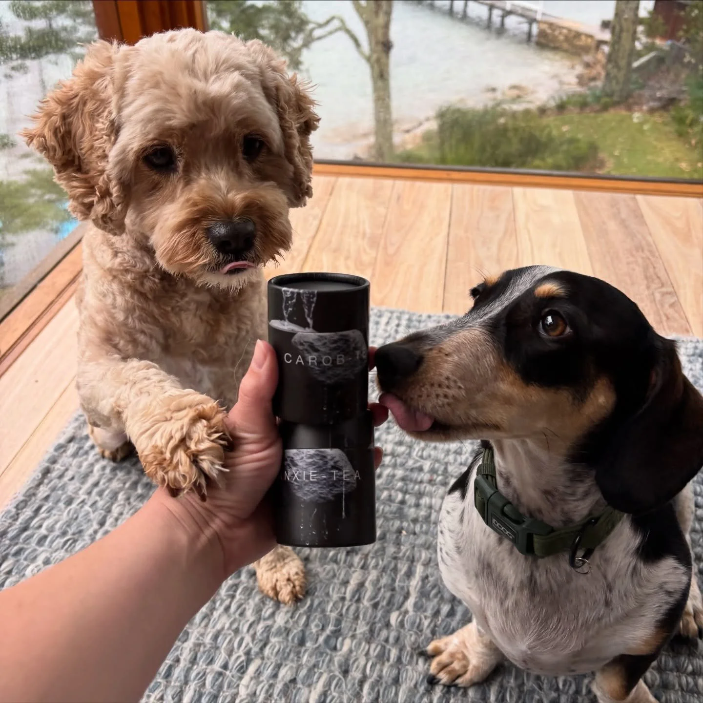 Not sure about you, but on gloomy days we&rsquo;re all about a cosy cuppa&hellip; and now your pup can join the tea party without trying to steal a sip of yours thanks to @onlywoofs_official ☕🐶

Each blend is pure, Aussie-made indulgence &mdash; bre