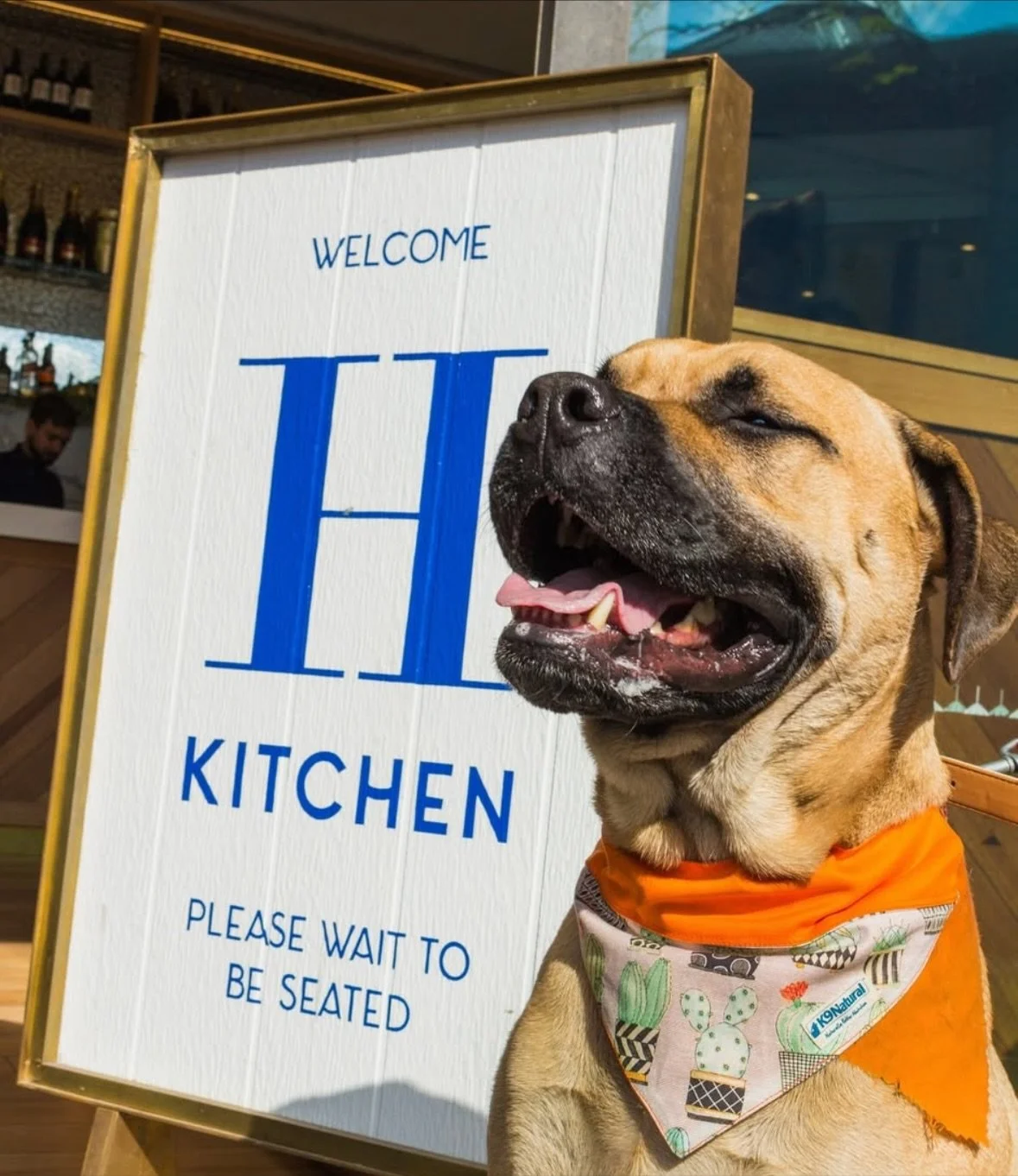 No one does post-park puppucinos quite like @thecentennialhomestead ☕🐾 Tail wags guaranteed.