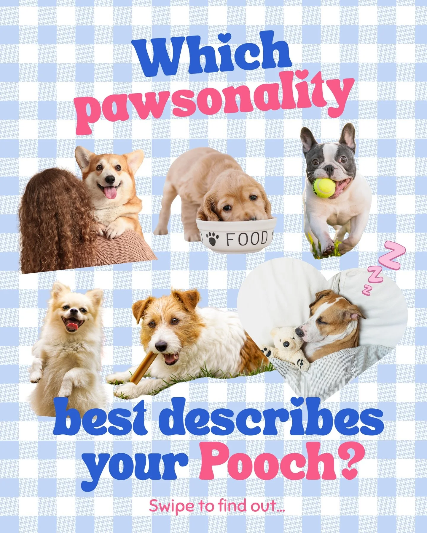 Which one is your pooch? 👀
Only 5 days until our Pawsonality Patches drop!
Snag the one that truly sums up your pup and let the world know their quirks 🐾✨

These cheeky iron-on embroidered patches instantly add personality to your pet&rsquo;s banda