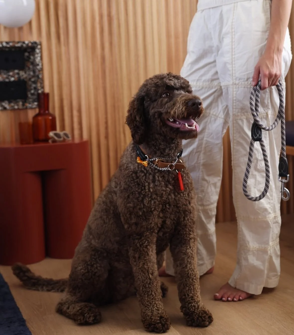 Who&rsquo;s getting long-weekend ready?
Because we wish we were packing the car for this little slice of oasis in Batemans Bay! Dog-friendly coastal stays just hit different 🐾🌊 @theislahotel 

#dogfriendlyhotel #dogfriendlynsw