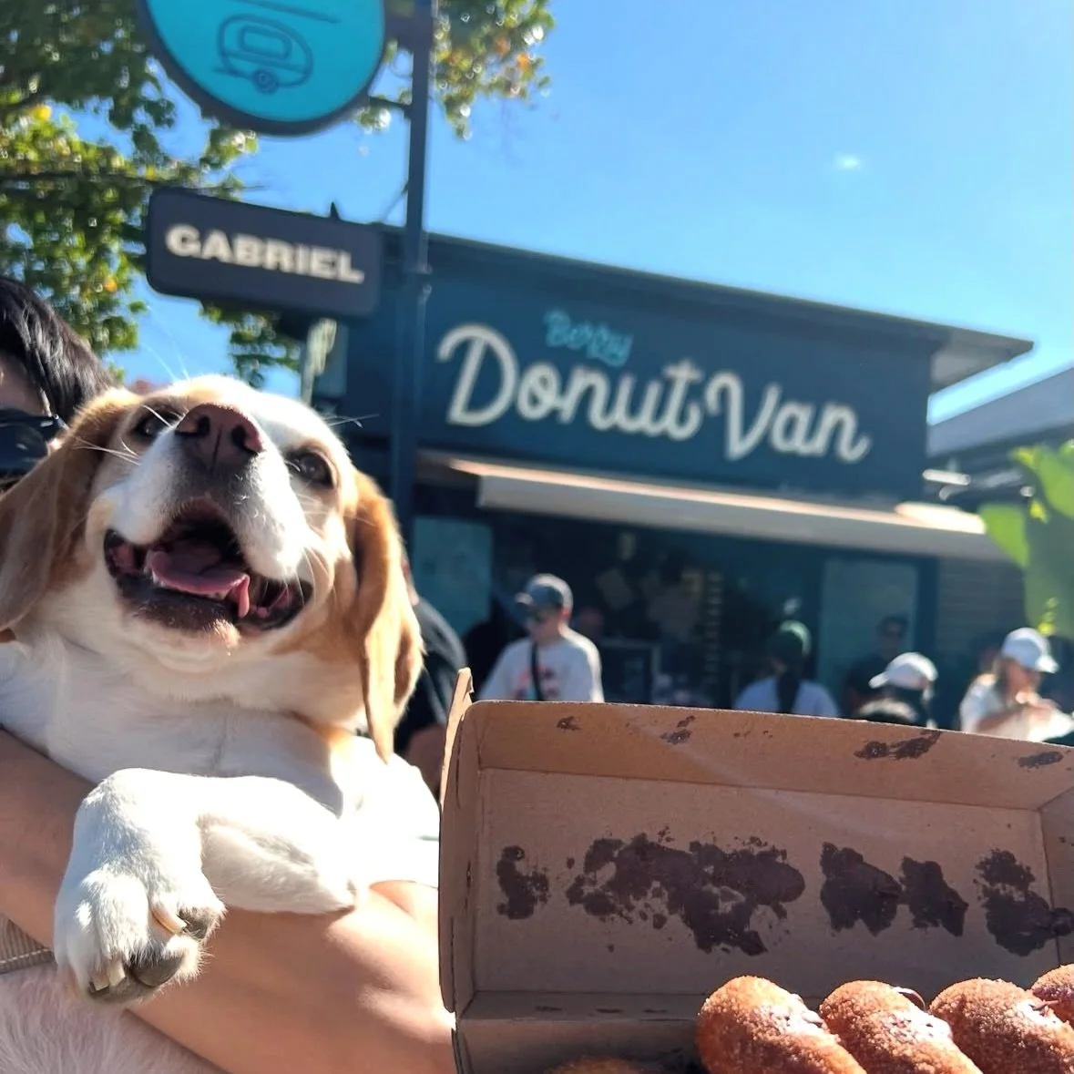 Doggos of the @berrydonutvan 🍩 if you know, you know 👏🐾