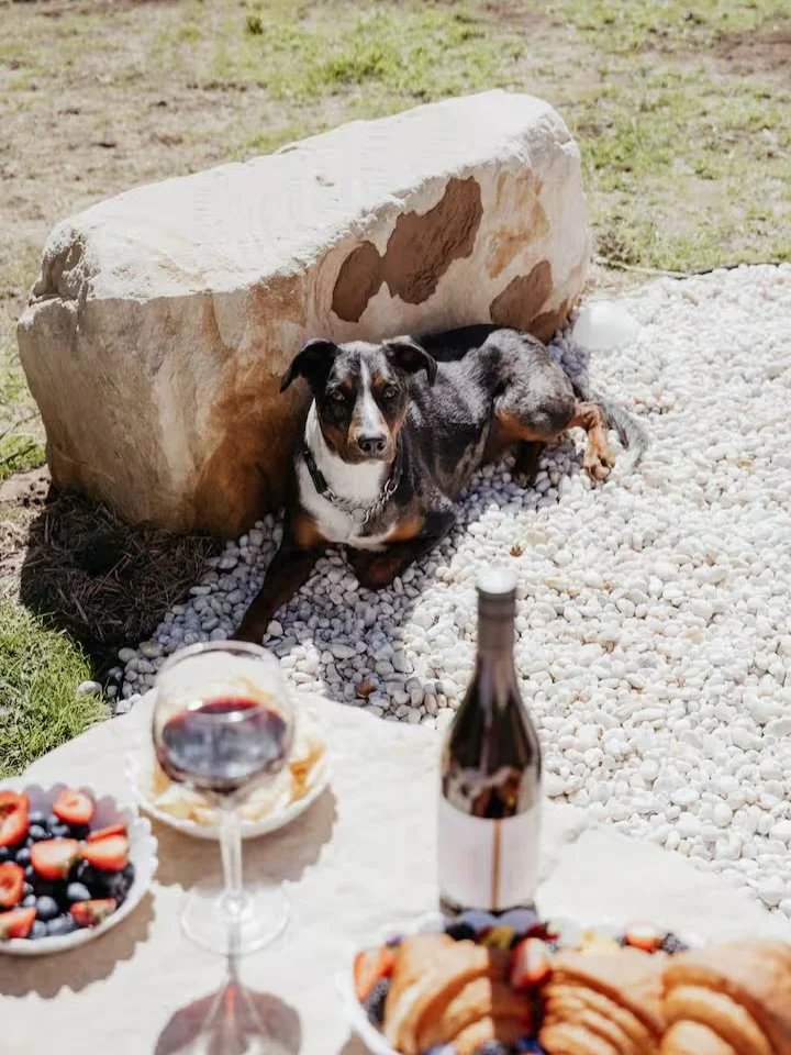 The Southern Highlands are calling&hellip; and yes, your pup is invited too 🐾

Tucked away in the sweet little village of Bundanoon, @osborn_retreat is the kind of cosy country cottage made for slow weekends. Think crackling campfires, morning walks